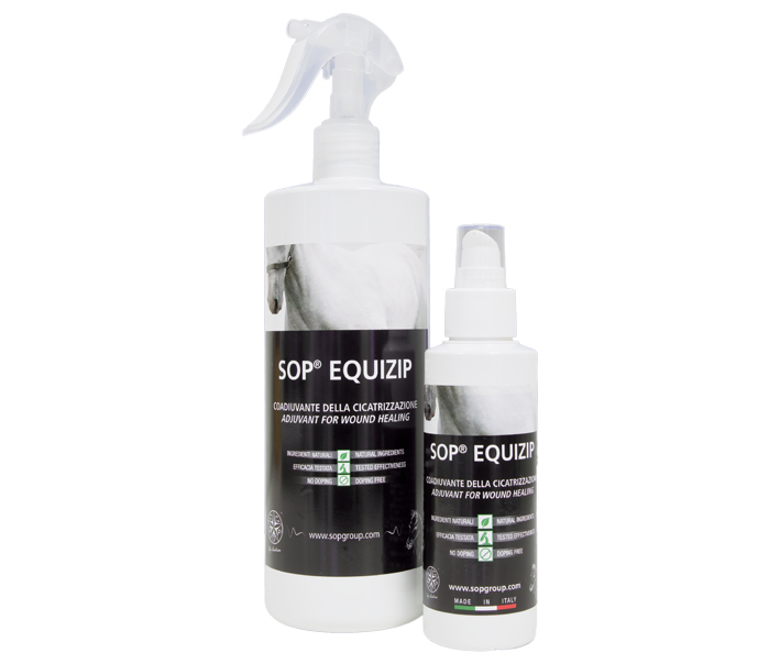 SOP EQUIZIP