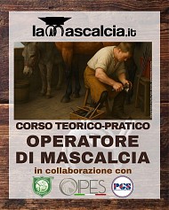 Codice Sconto MASCALCIA10 valido fino al 20-12-2025