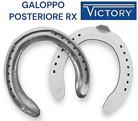 Victory RX  Alluminio con Salvapunta e Barbetta Hind