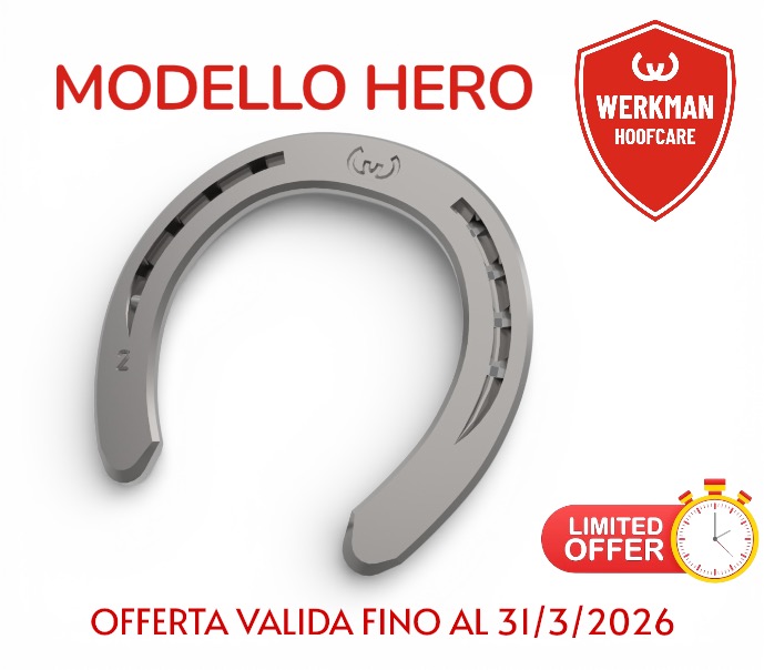 Werkman Hero Anteriore Una Clip sezione 20/22/25x8_1