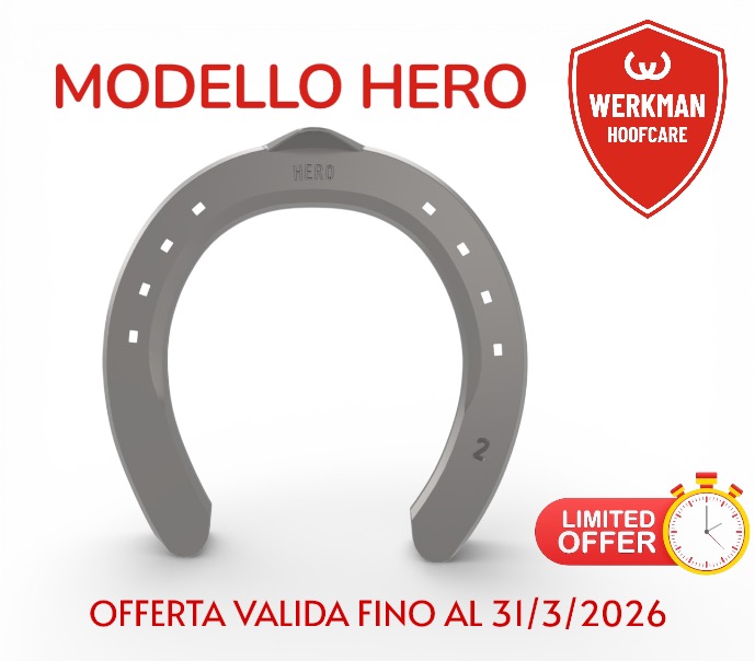 Werkman Hero Anteriore Una Clip sezione 20/22/25x8_2