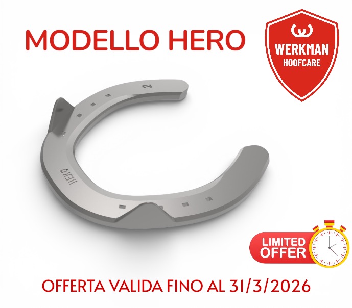 Werkman Hero Posteriore Due Clip_3