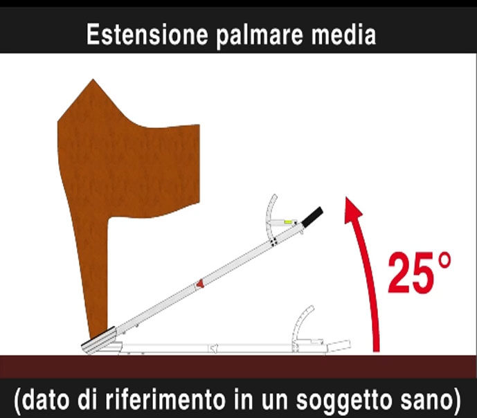 Colleoni Mascalcia Digital Extension_3