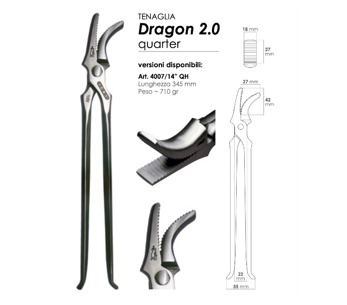 Tirachiodi per MONTA AMERICANA QUARTER HORSES_1