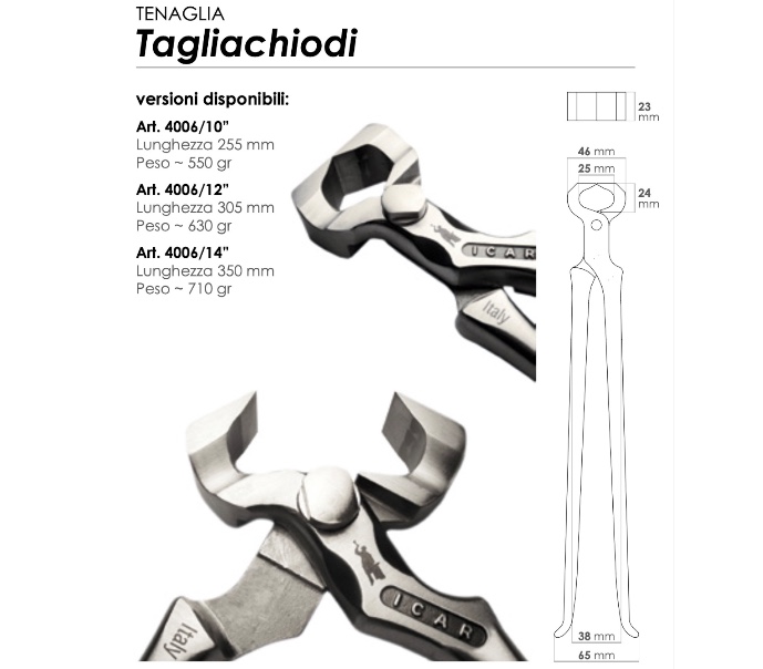 Taglia Chiodi ICAR_1