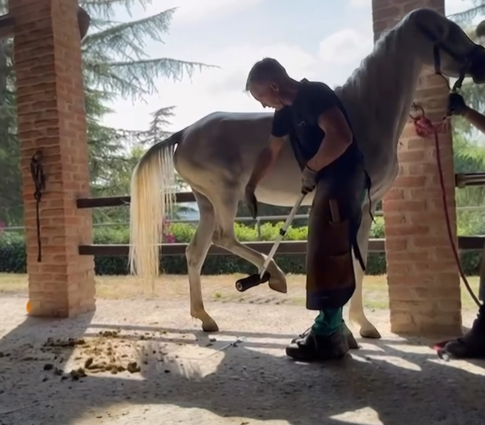 T-Trainer Alza gli zoccoli in Sicurezza_1